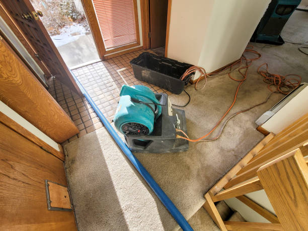Best Water damage repair service  in Polo, IL